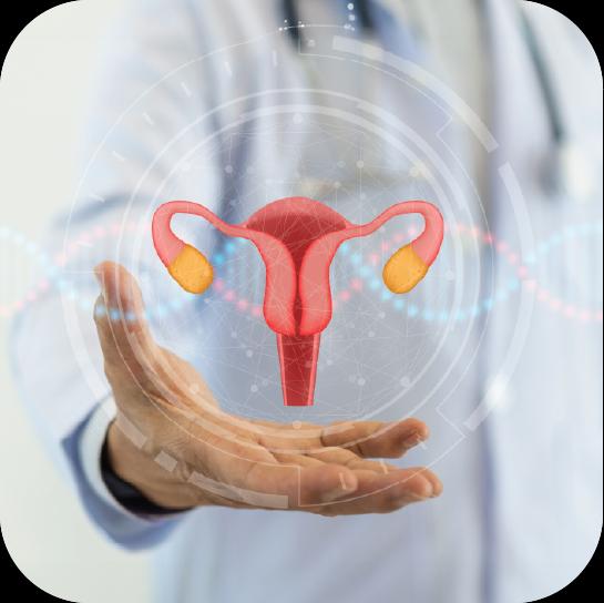 fertility