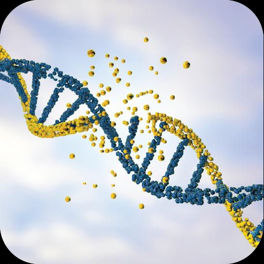GeneticDisorders