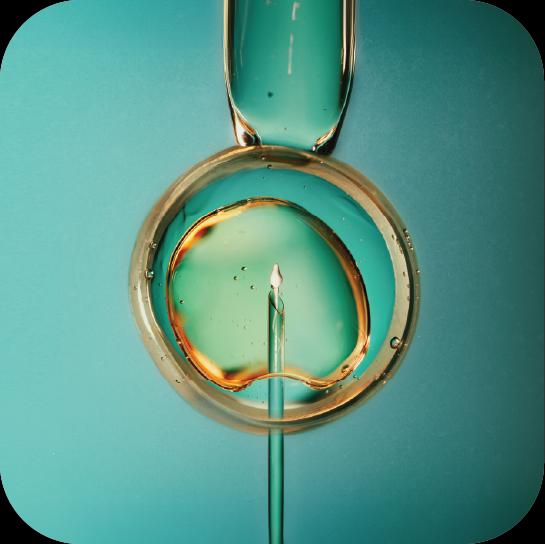 IVF
