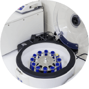 Impeccable Standards