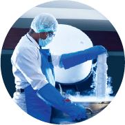 Impeccable Standards