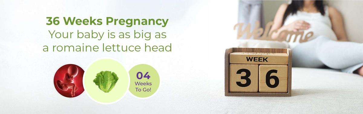 36 Weeks Pregnant: Is It Almost Time?