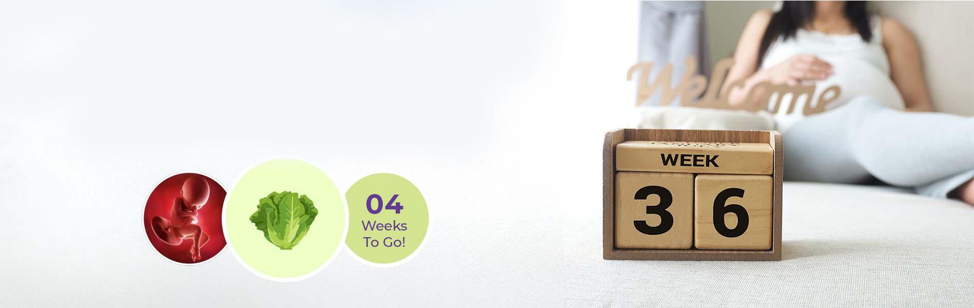 36 Weeks Pregnant: Is It Almost Time? Here’s What You Need to Know