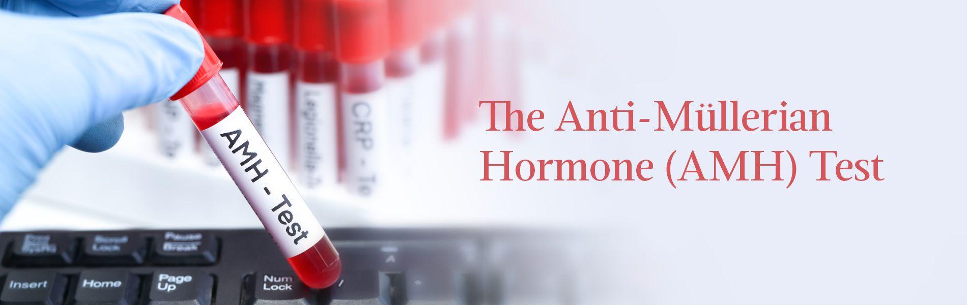 The Anti-Müllerian Hormone (AMH) Test: Purpose, Normal Levels and Test ...