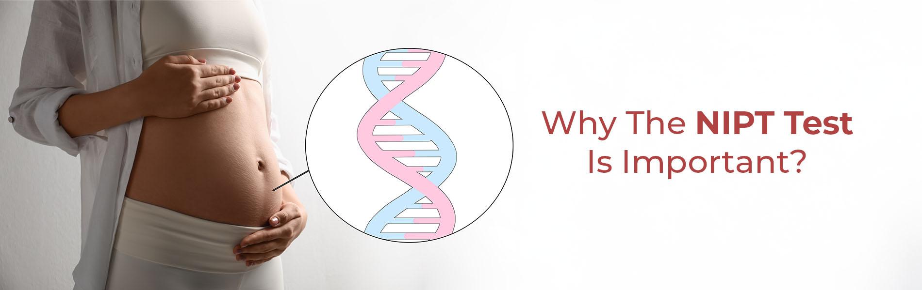 Nipt Testing Kit Unity Understanding the NIPT Test: A Complete Pregnancy Screening Guide
