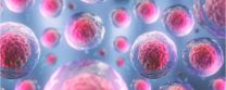 What Are The Diseases Treated By Stem Cells